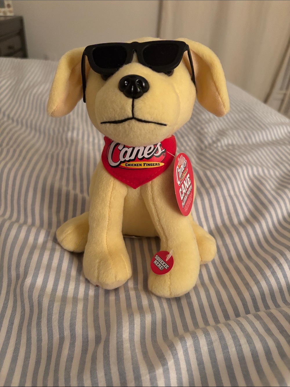 Canes Dog with Sunglasses - Branded Collectible (makes sound)